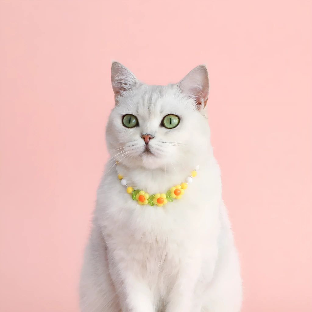 Colourful plastic bead pet necklace for cats in peach, rainbow, or small flower patterns on a white background.