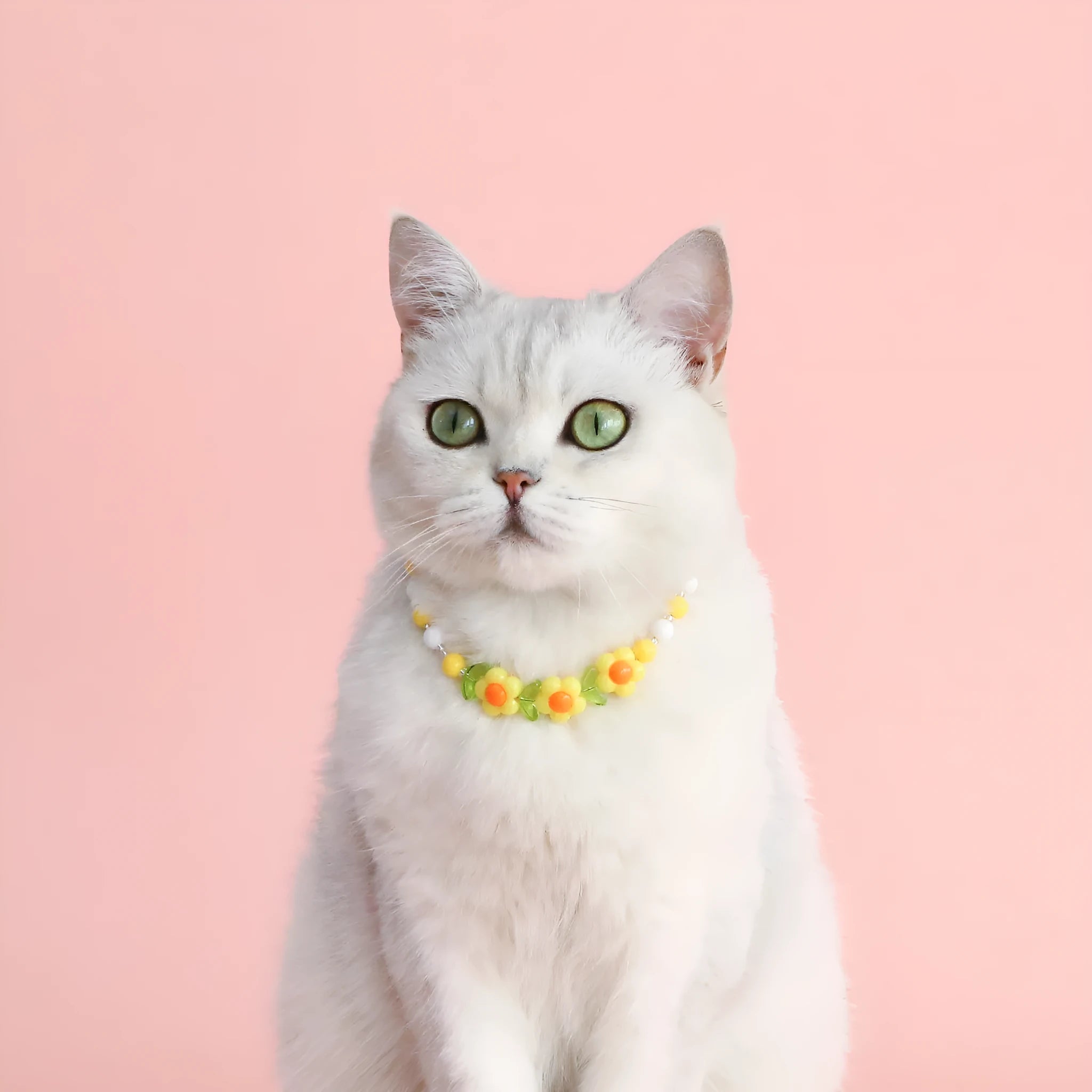 Colourful plastic bead pet necklace for cats in peach, rainbow, or small flower patterns on a white background.