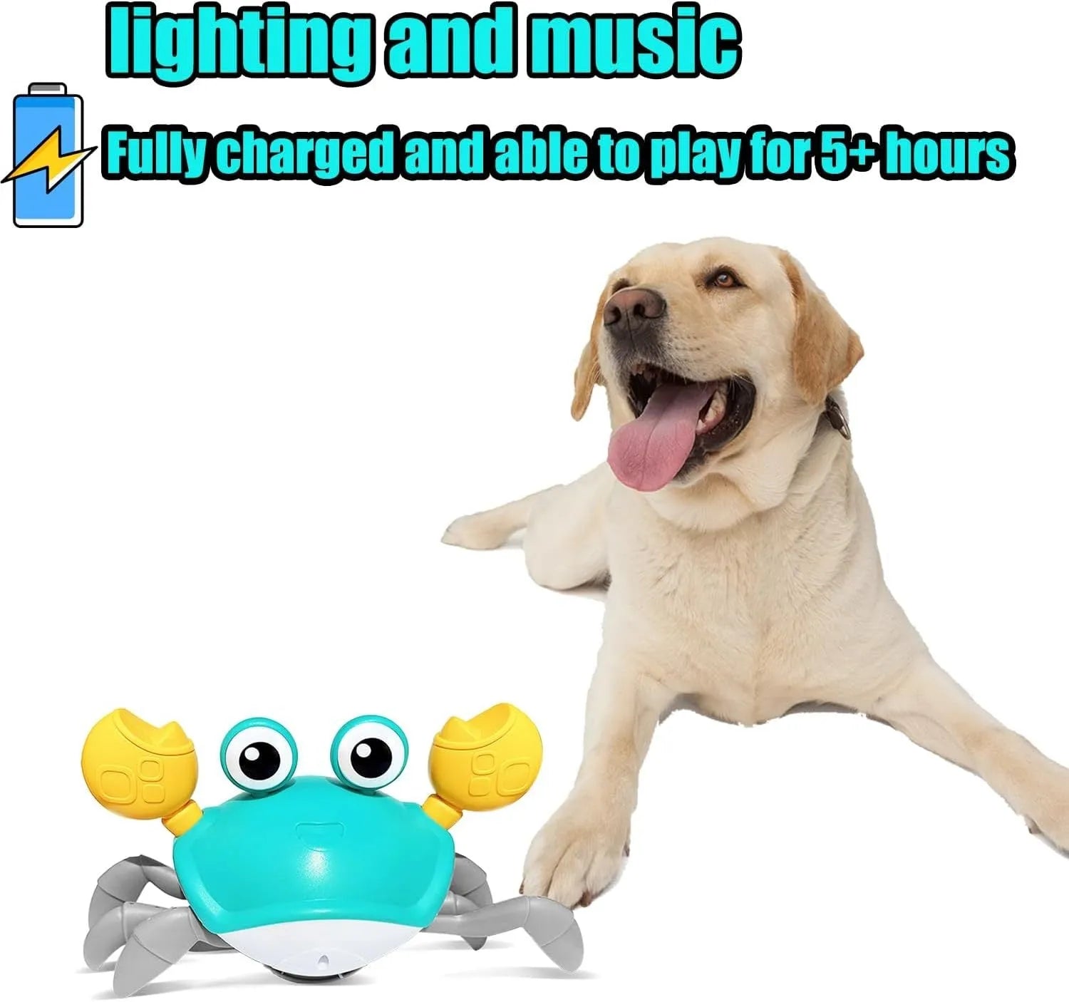 Blue electronic crab dog toy moving on floor with lights illuminated.