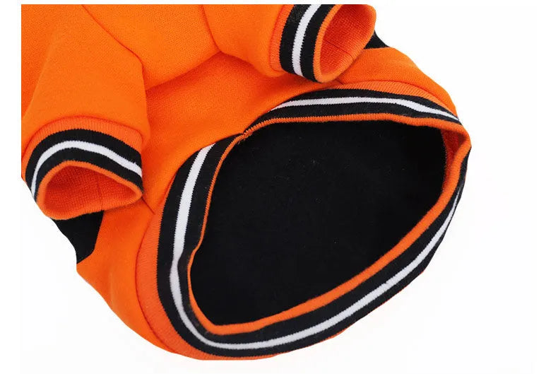 Orange cloth pumpkin costume sweater for dogs in six sizes from XS to XXL on a light background