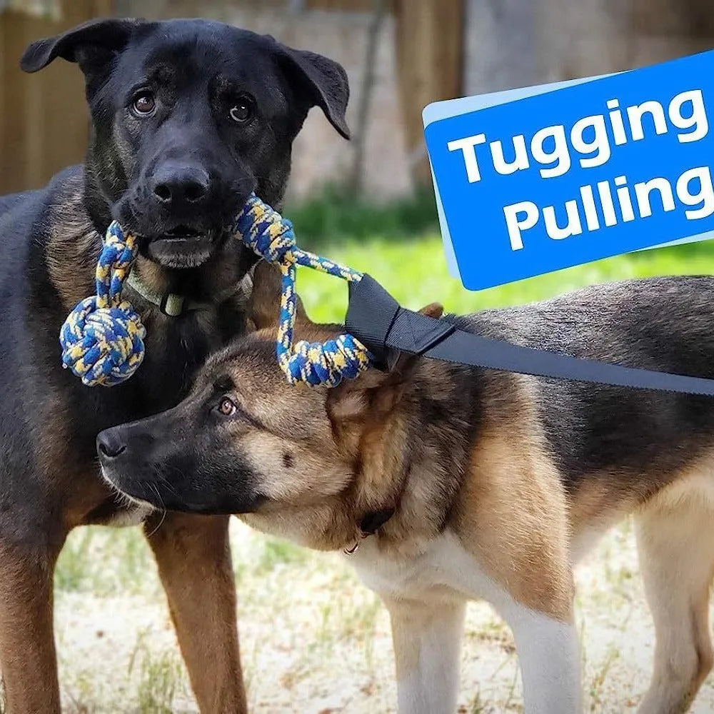 Green cotton thread dog tug rope toy with a corncob design for tug-of-war games.