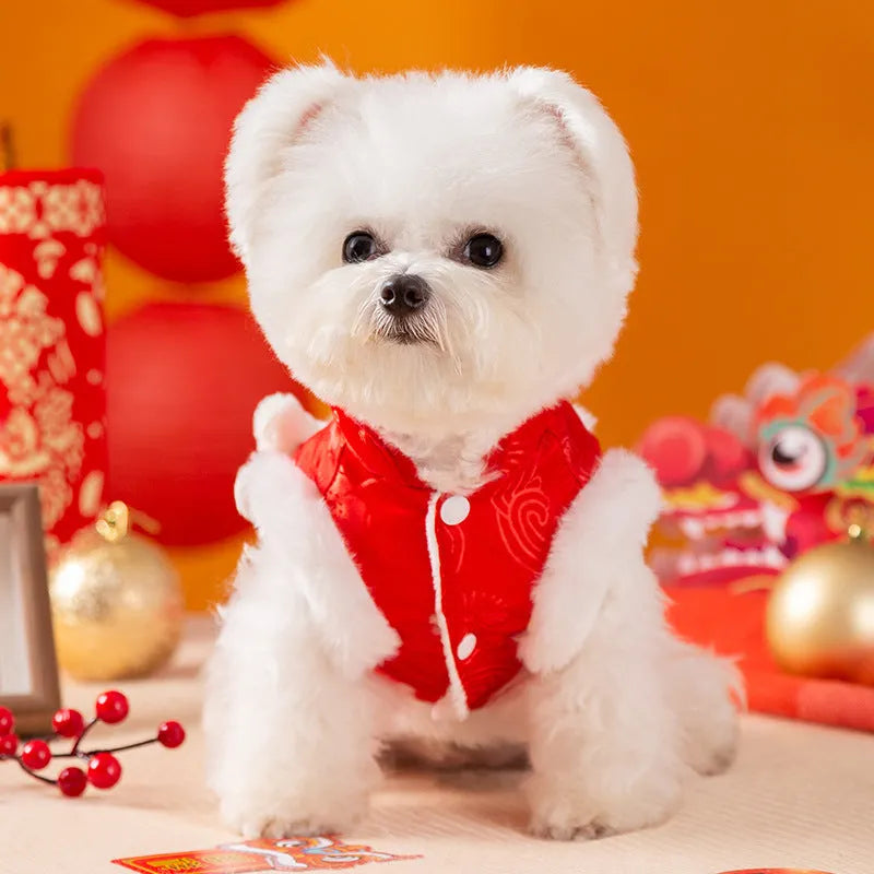 Red lion dance pet dog vest with 3D lion head ornament and golden buttons on white background