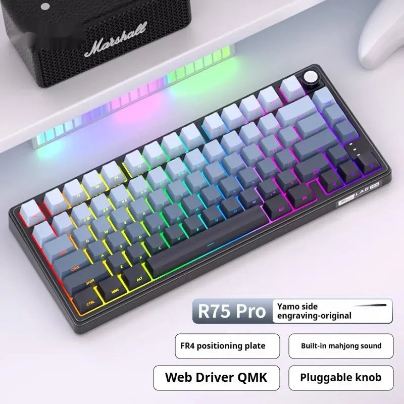 Wireless mechanical keyboard with RGB backlighting and hot-swappable switches in multiple colour options