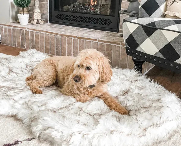 Pet dog plush mat in beige with soft plush surface on floor, available in multiple sizes for dogs up to 45kg