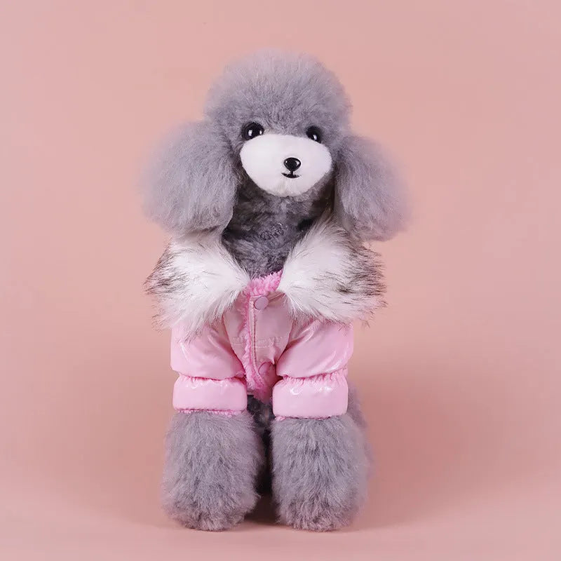 Blue British-style thick cotton winter jacket for a dog on a winter day.