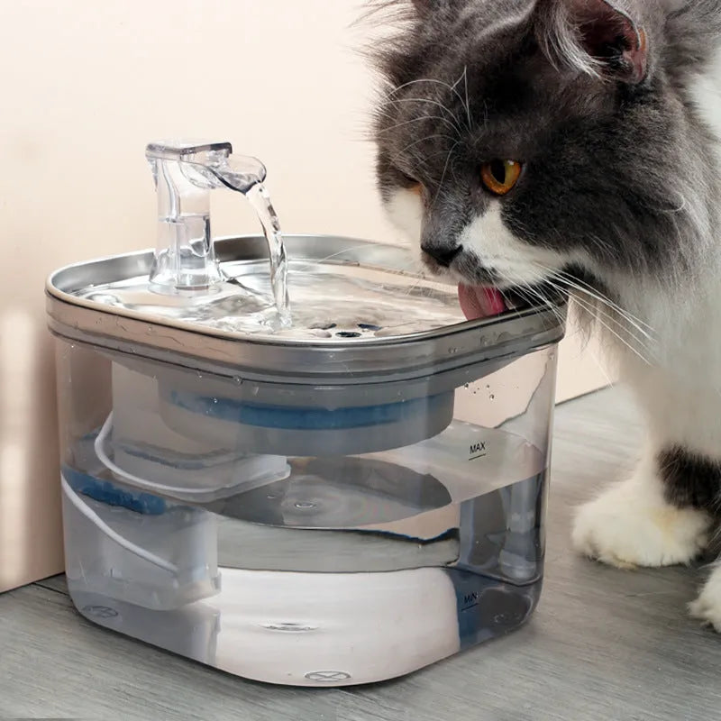 Stainless steel automatic cat dog water fountain with 2L capacity and ultra-quiet pump on white background