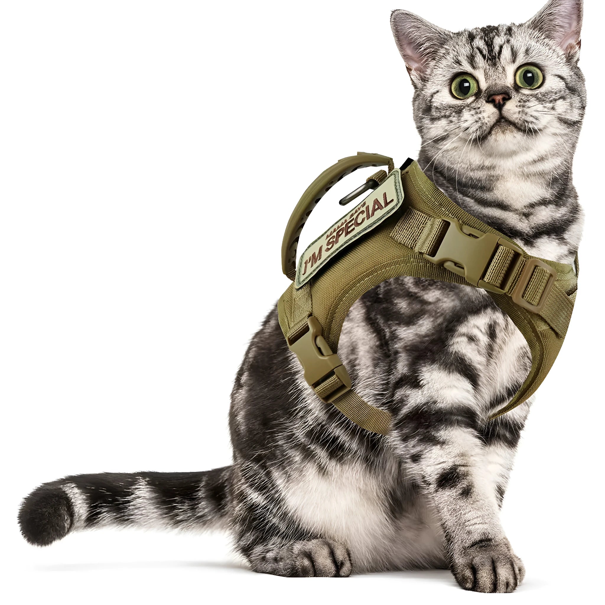 Cat chest strap vest harness in Oxford cloth free size with hand holding rope in black