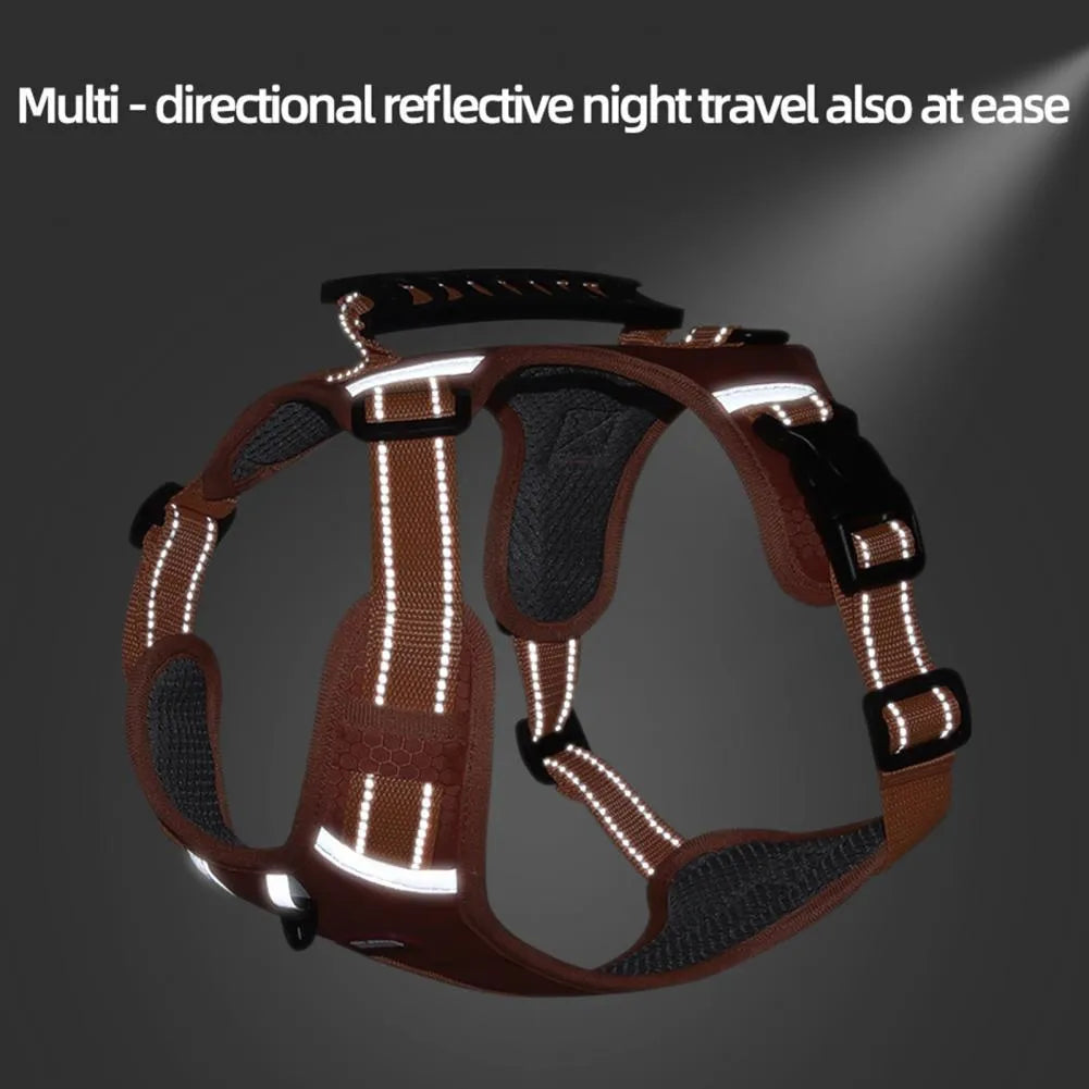 Orange adjustable nylon dog harness with reflective strips and mesh panels shown on dog