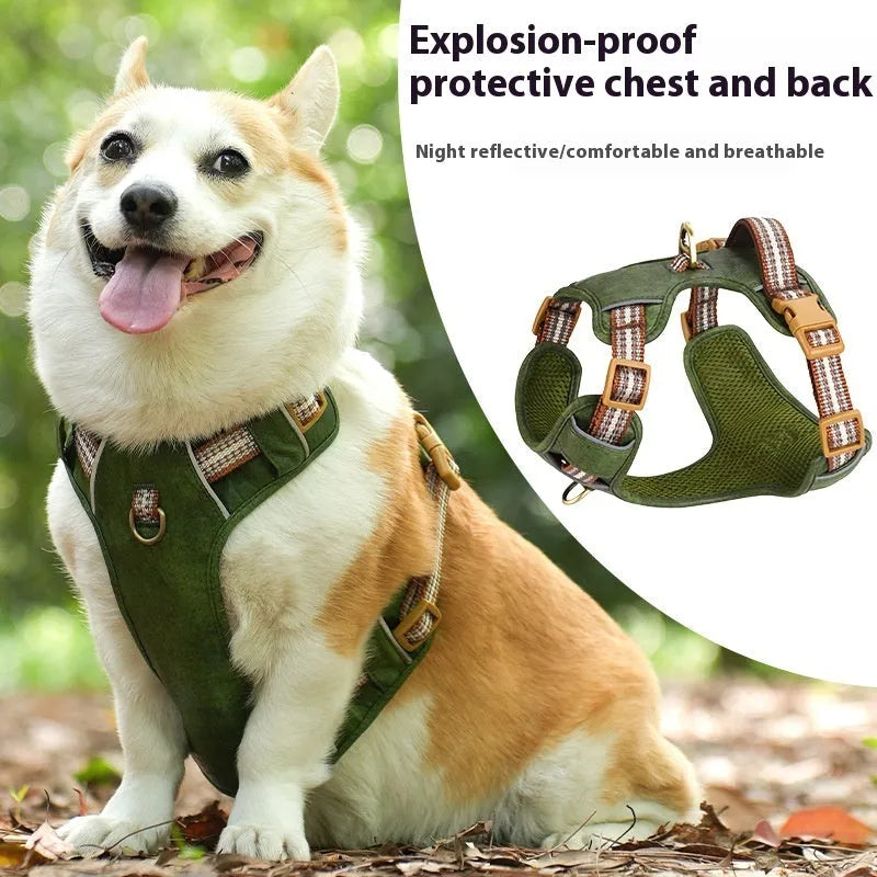 Brown leather dog harness with reflective strips and metal buckle closure