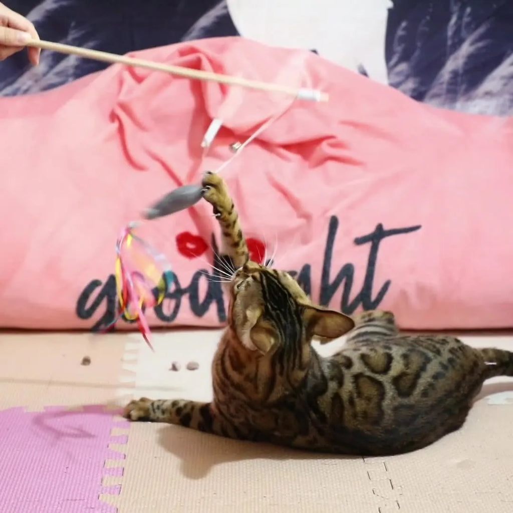 Cat wand toy with wooden handle, colourful ribbons, bell and catnip fish attachment