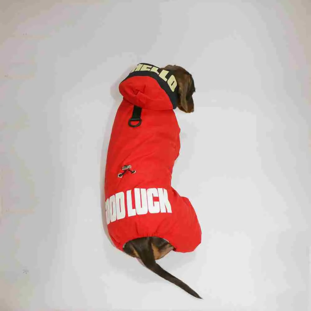 Thickened four-legged pet clothing in beige on a small dog, winter outdoor use
