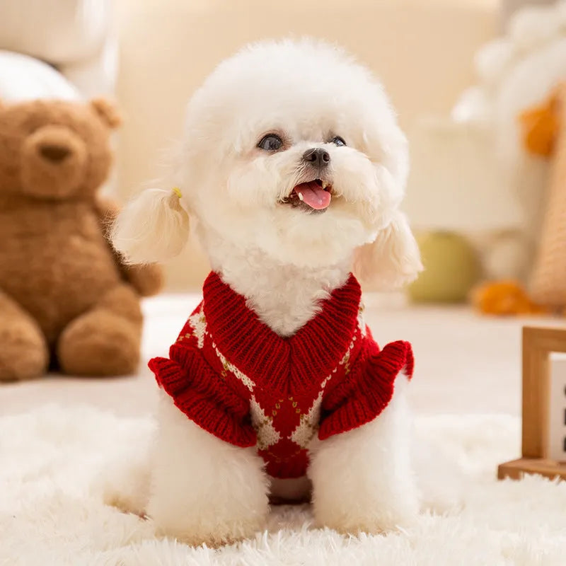 Red and white argyle knitted dog sweater with cherry embroidery for small dogs and cats