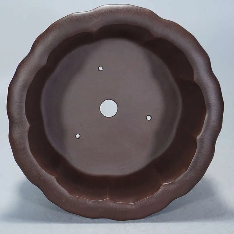 Square purple-red ceramic succulent planter with classical flared rim on a table.