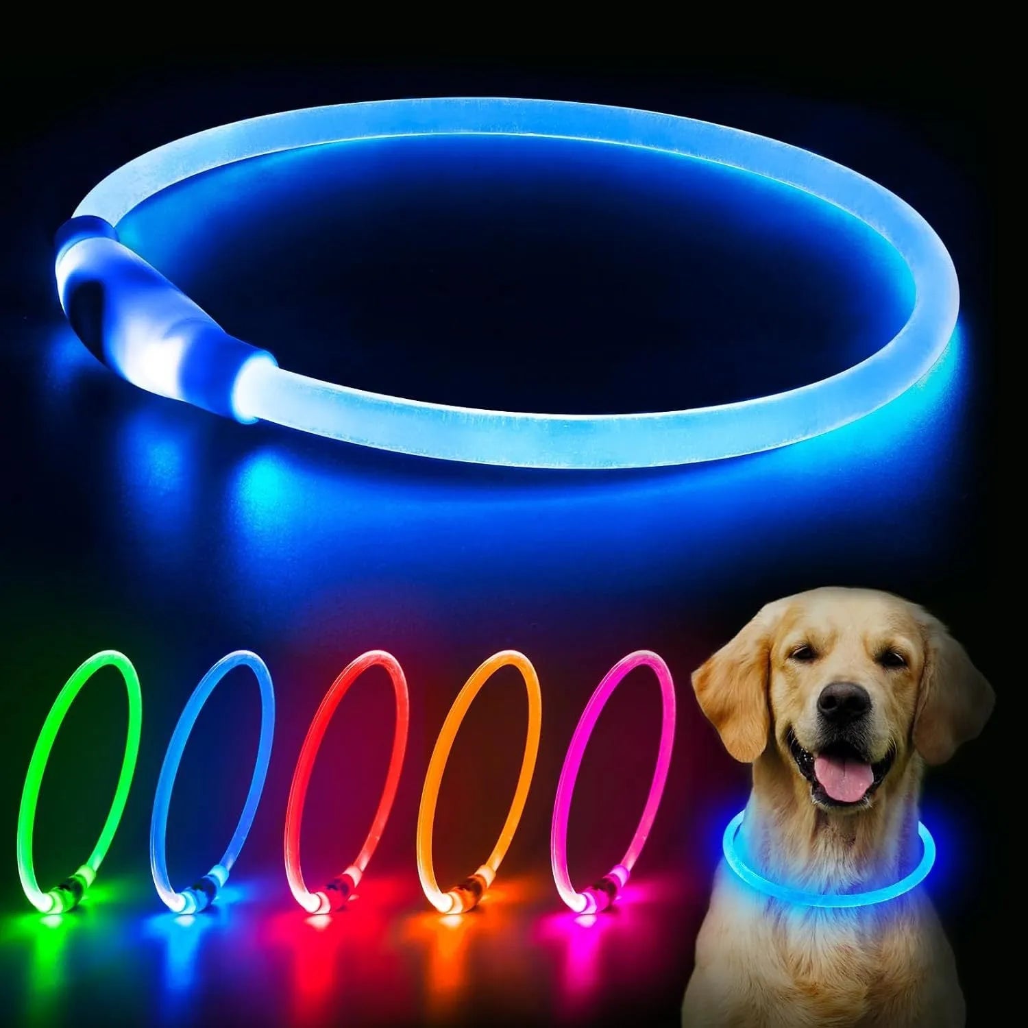 Blue USB rechargeable LED dog collar glowing on a dog's neck at night