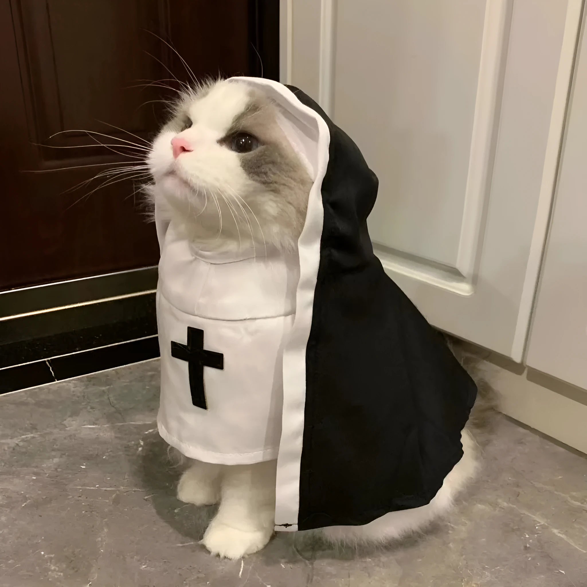 Black and white nun costume cloak on a small dog, showing the pullover design.