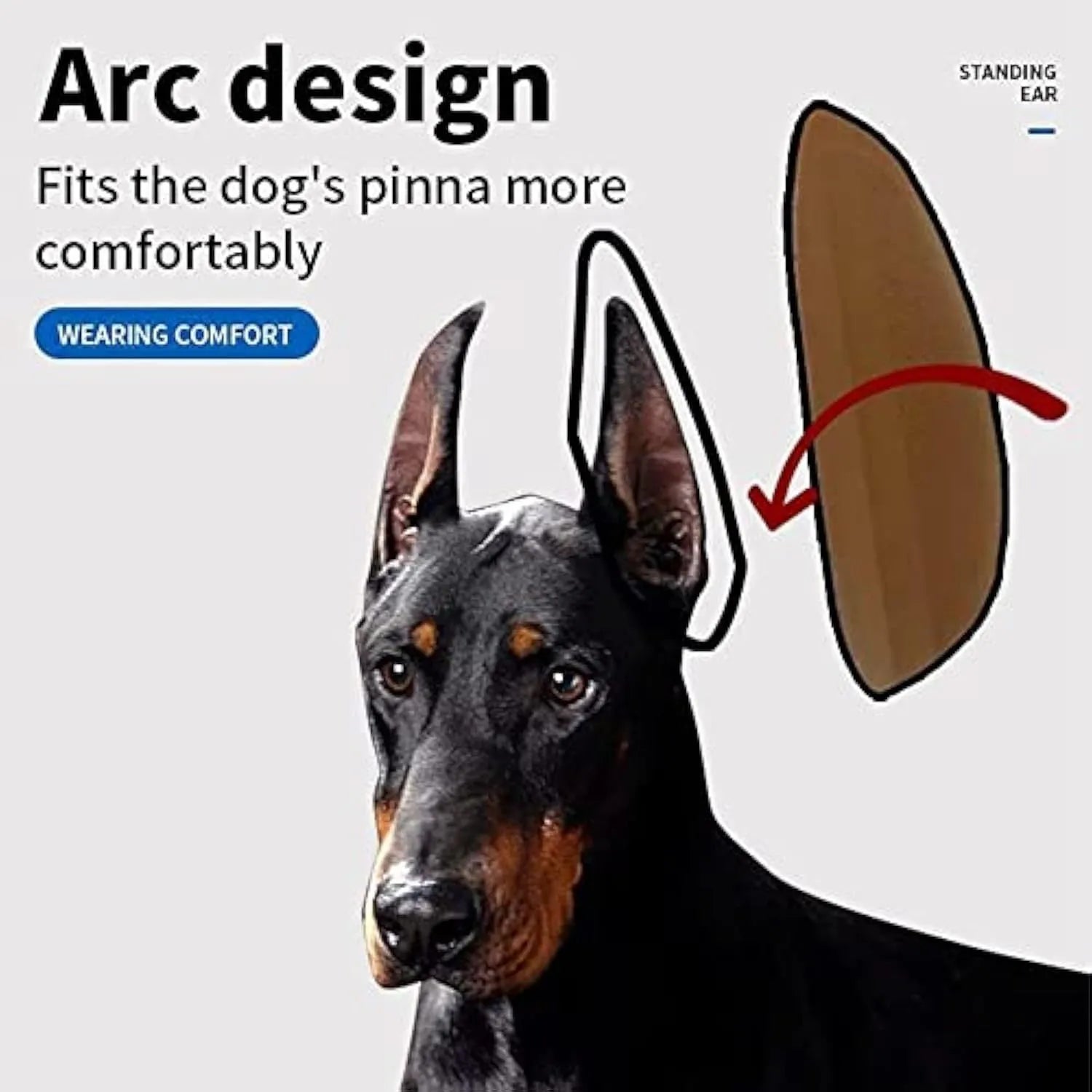 Dog ear support sticker tool for Doberman, Corgi, and Sheltie puppies on a white background