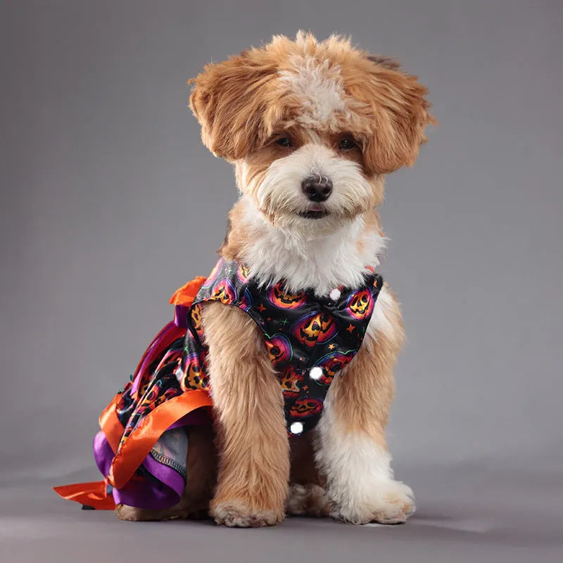 A dog wearing a double-layer Halloween skirt with a colourful pumpkin print.
