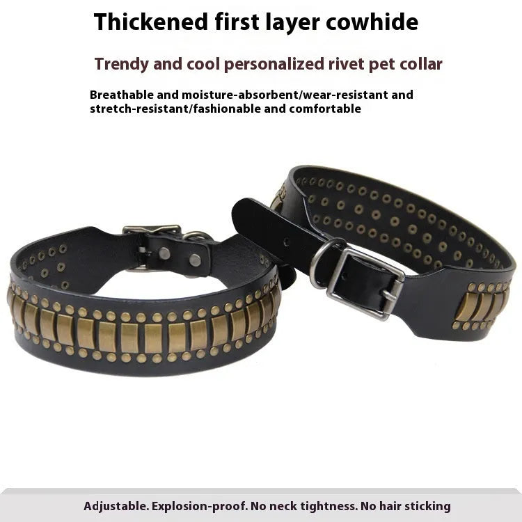 Leather dog collar with large metal rivets in a choice of five colours, laid flat.