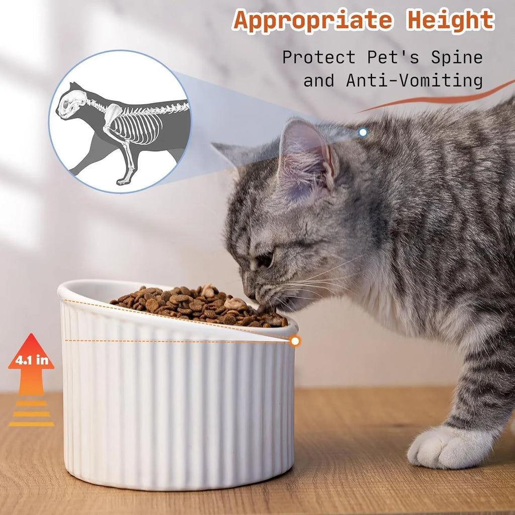 A ceramic elevated cat bowl with a tilted, round design shown in green, positioned on a floor.