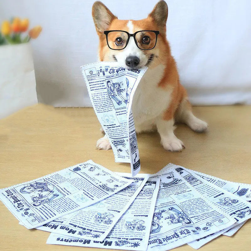 Tear-resistant squeaking dog toy shaped like a newspaper or playing card for corgi and puppy chew play.