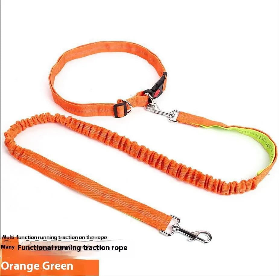 Gray and green nylon dog leash with reflective filament sling for outdoor night safety