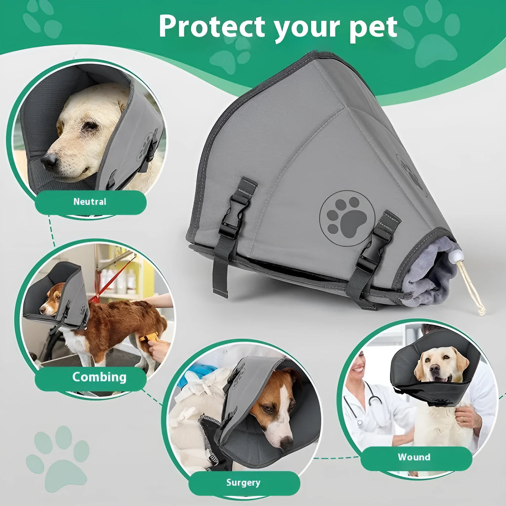 Adjustable polyester recovery collar for pets, shown in single layer style with size options L, M, XL for post-operative protection.