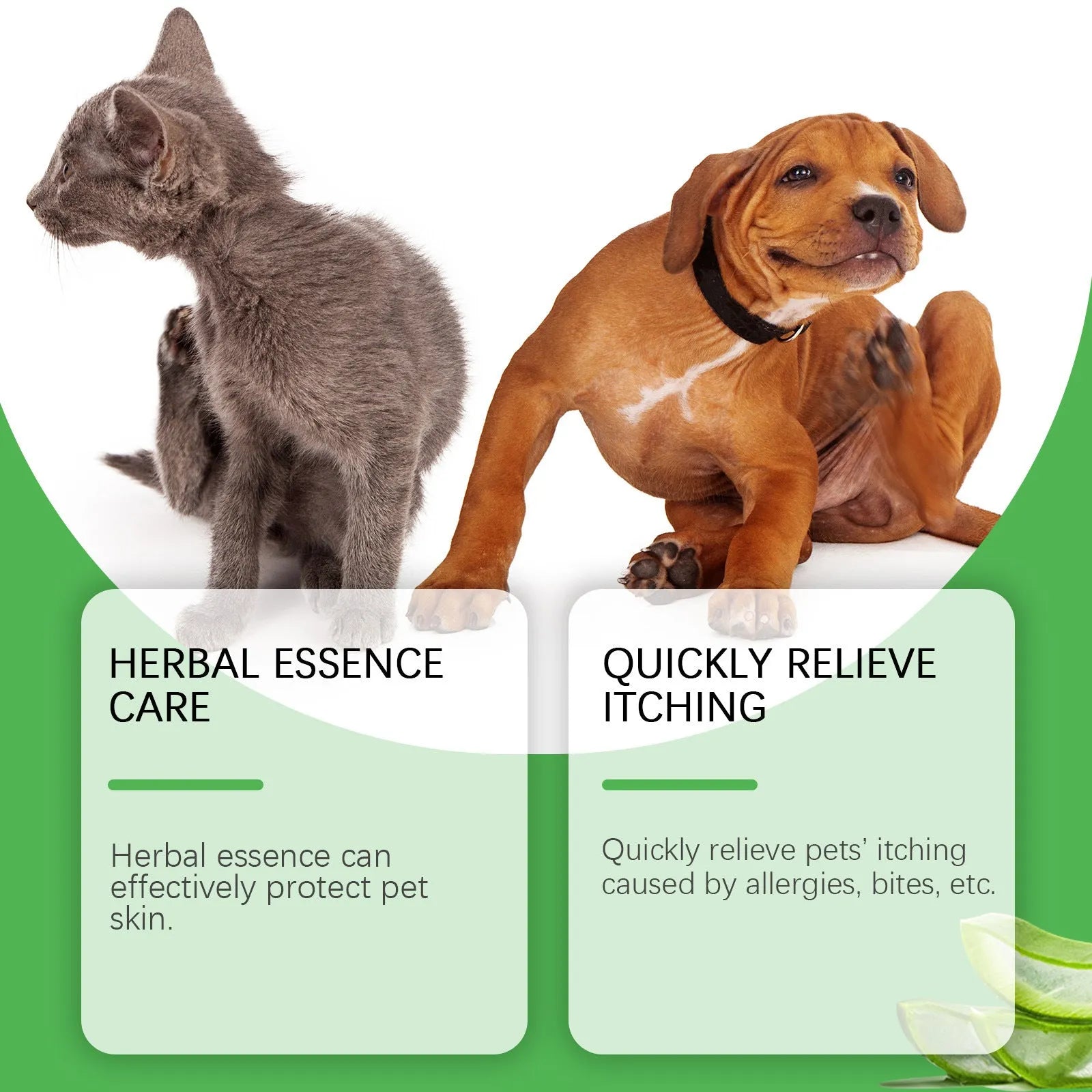 Tube of pet itch relieving cream for cats measuring 5.5cm by 13.3cm with 60g net weight