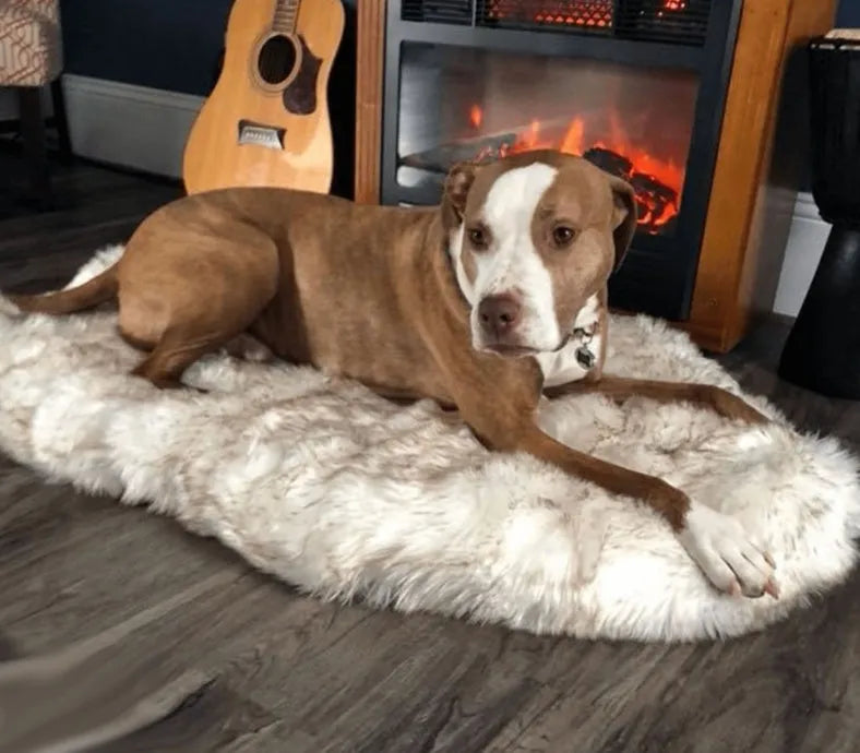 Pet dog plush mat in beige with soft plush surface on floor, available in multiple sizes for dogs up to 45kg