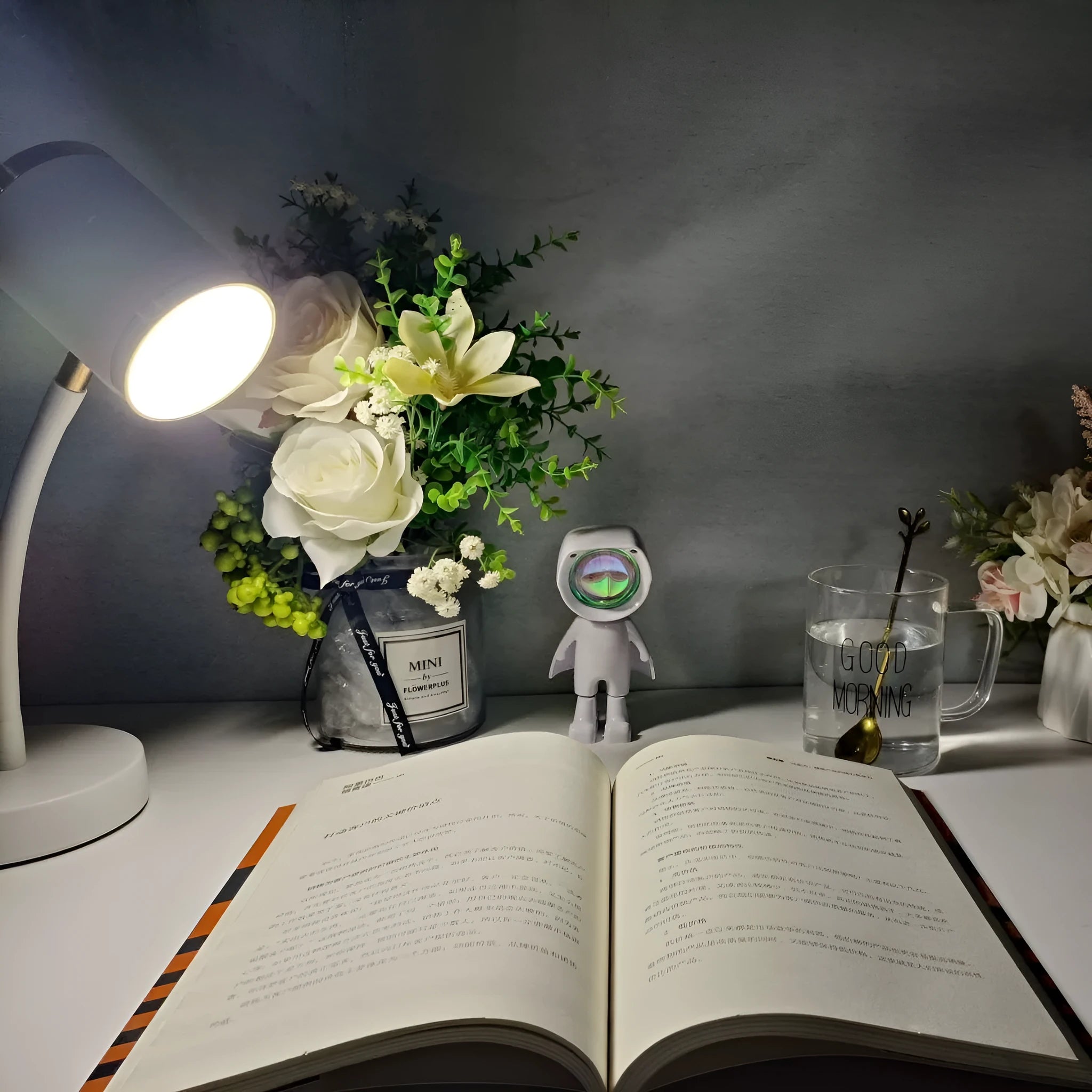 Double-headed photography streaming table lamp with metal holder in black colour option