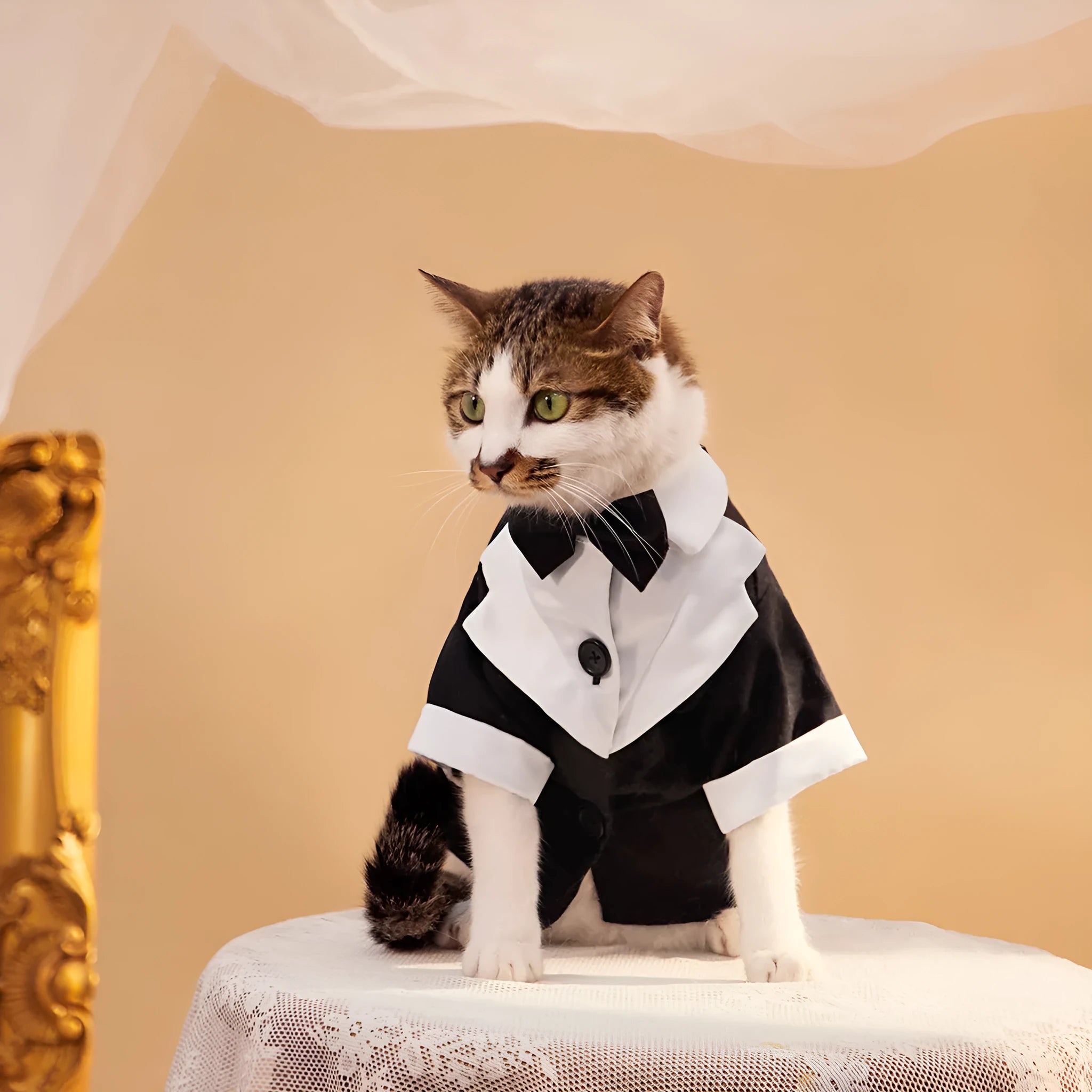 Chinese style four-legged wedding suit for dogs in polyester fabric
