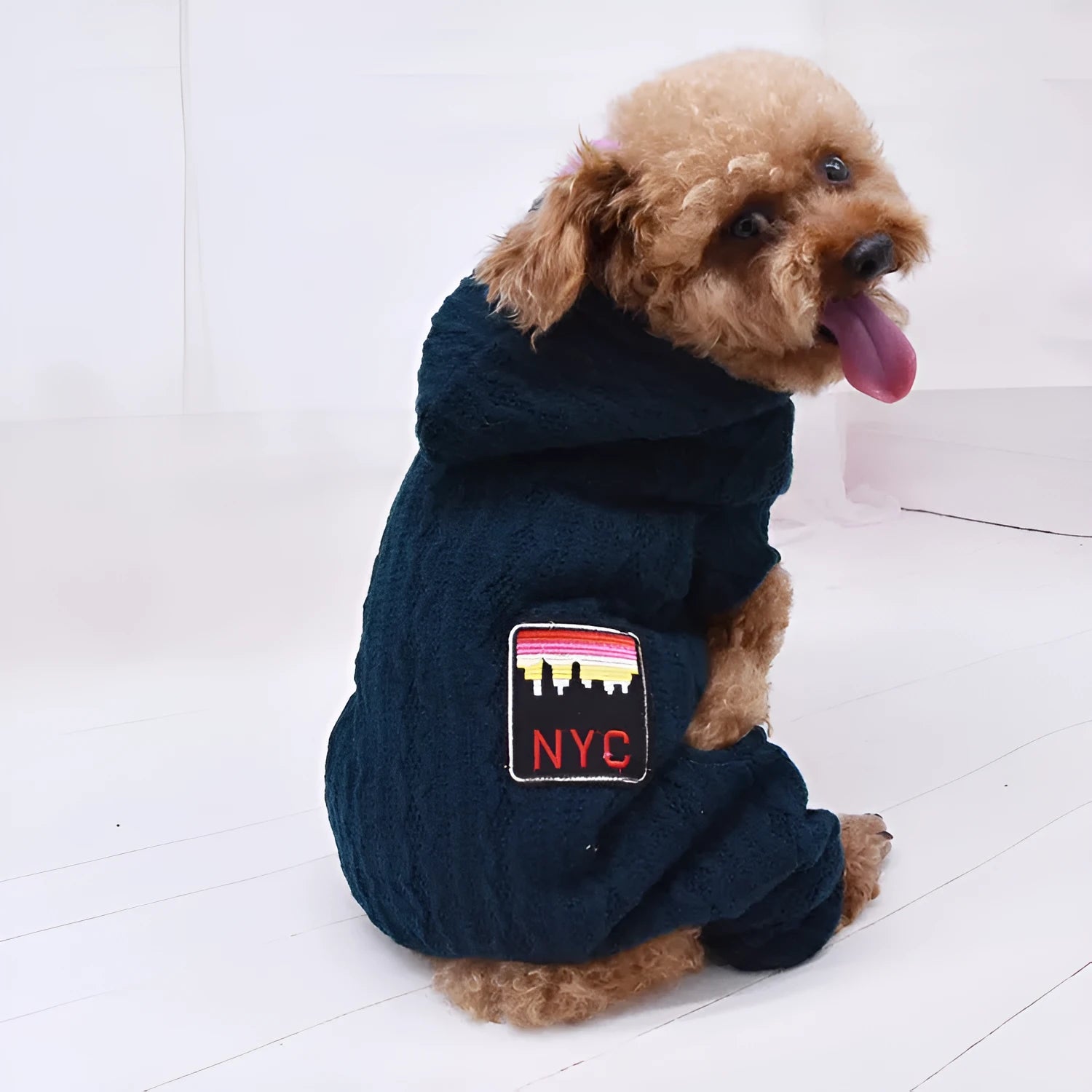 Four-legged thick pet clothes in Green with sweater velvet lining casual style