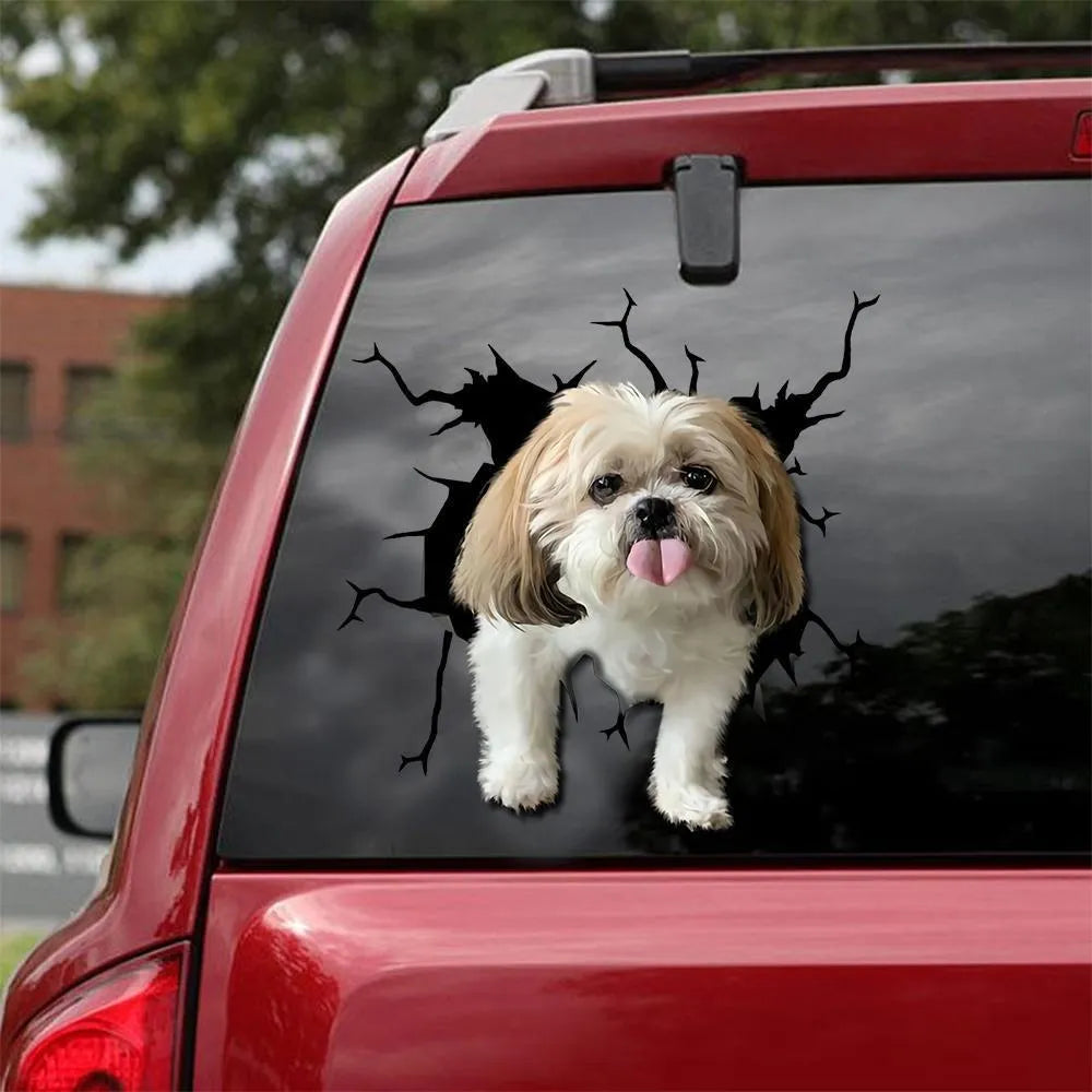 A reflective window sticker showing a funny tear-away design of a dog's body, available in small, medium, and large sizes.