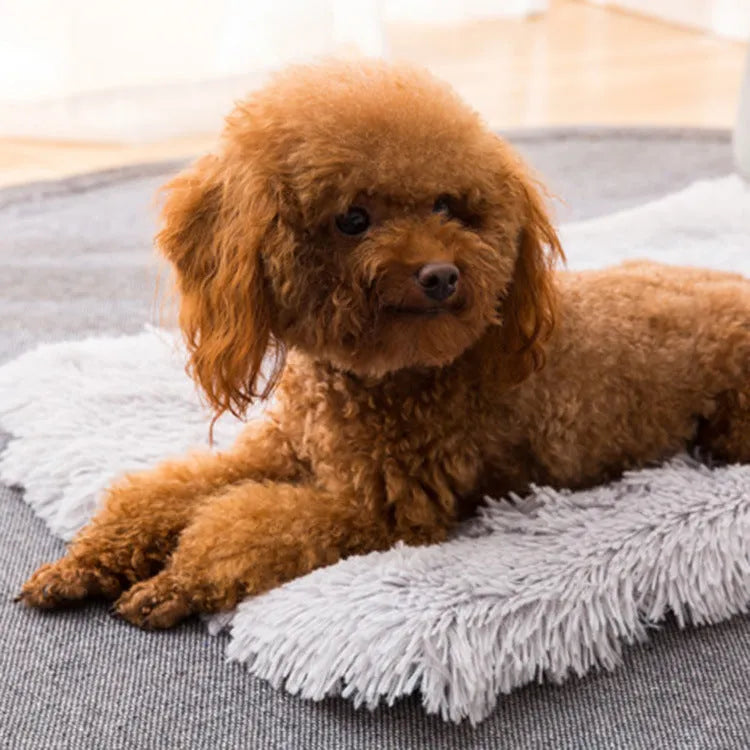 Plush pet nest with non-slip base, water-resistant material, available in multiple sizes and colours