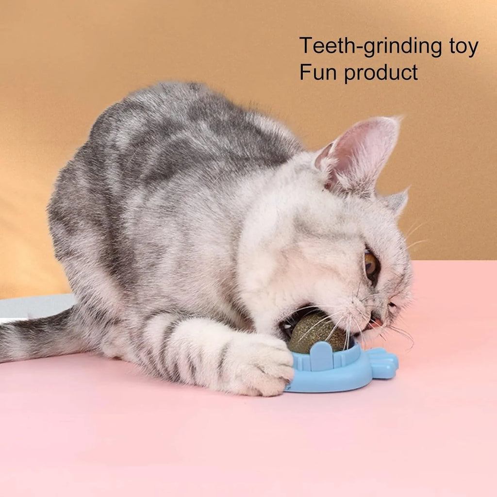 Blue carrot-shaped catnip ball with self-adhesive sticker for wall mounting and feline dental care