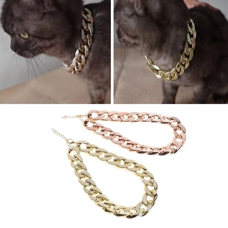 Gold plated plastic pet necklace with thick chain design on a small dog