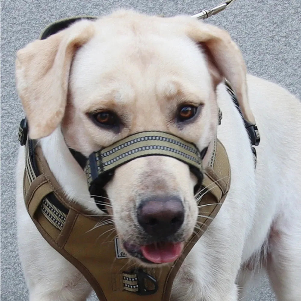Adjustable reflective dog muzzle for large breeds like Huskies, shown in blue on a dog's snout.