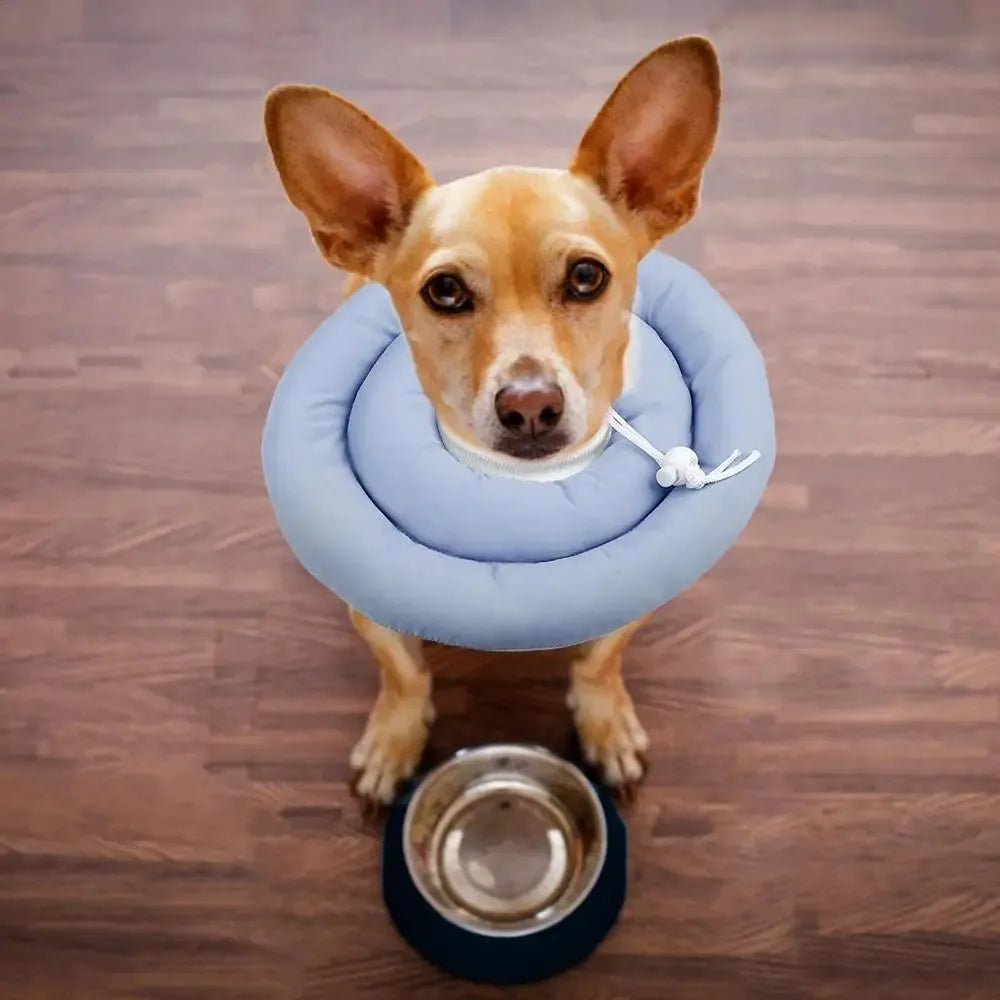 Adjustable waterproof Elizabethan collar cone for dogs and cats in blue colour with spring buckle closure
