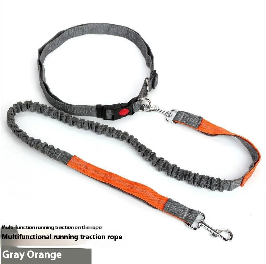 Gray and green nylon dog leash with reflective filament sling for outdoor night safety