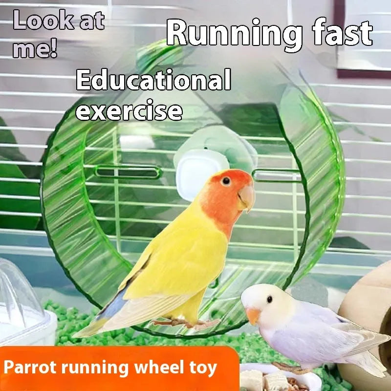 A transparent plastic running wheel toy for parrots, shown next to green and purple colour options.