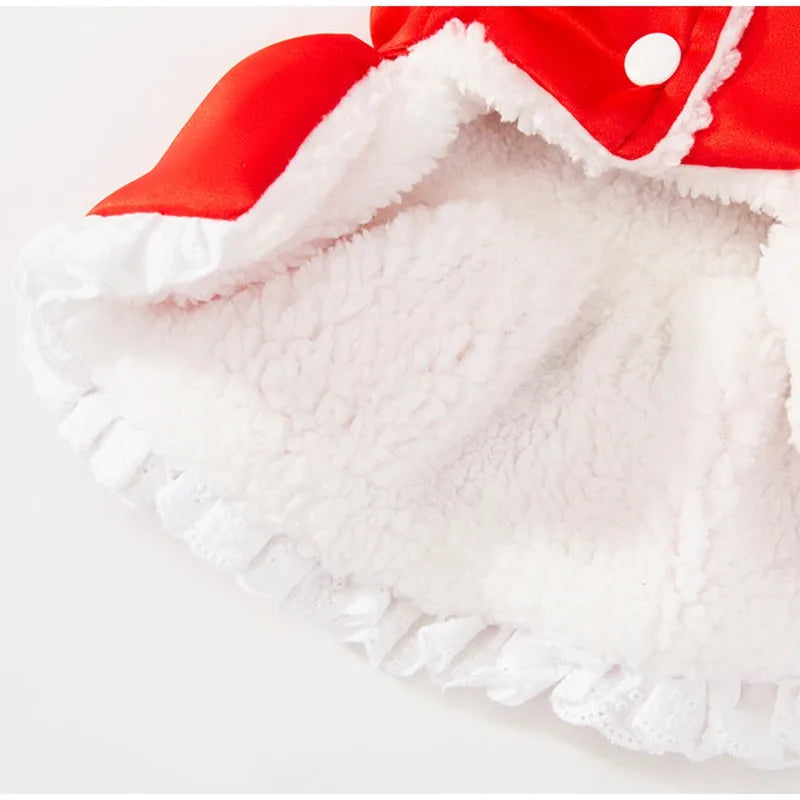 Lion Dance pet Tang suit cotton-padded red top with embroidery and festive tassels for dogs