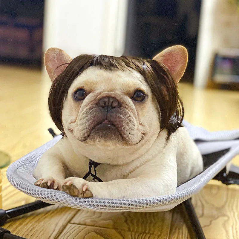 Adjustable pet wig sheath costume accessory on dog mannequin head showing nylon fibre construction