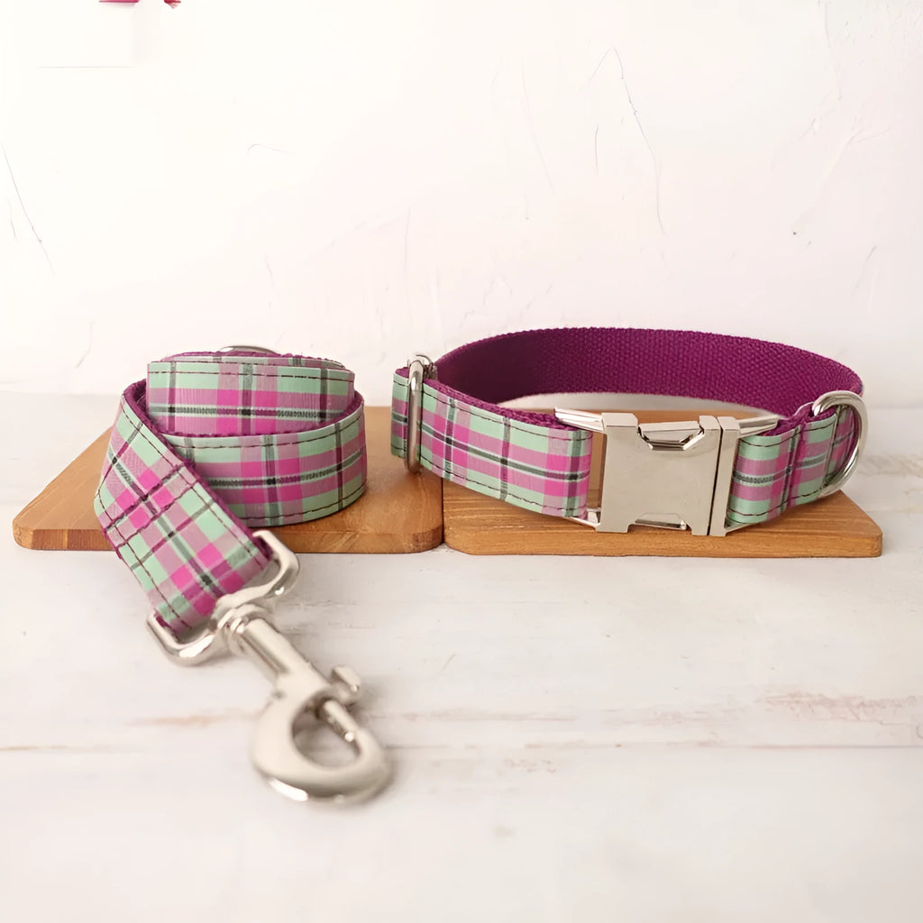 Mint-coloured polyester dog collar and leash set with zigezi pattern shown with adjustable sizing options