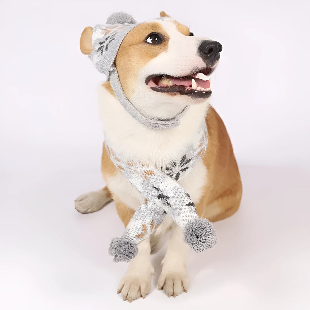 Grey retro jacquard pet sweater, hat, and scarf set on a small dog.