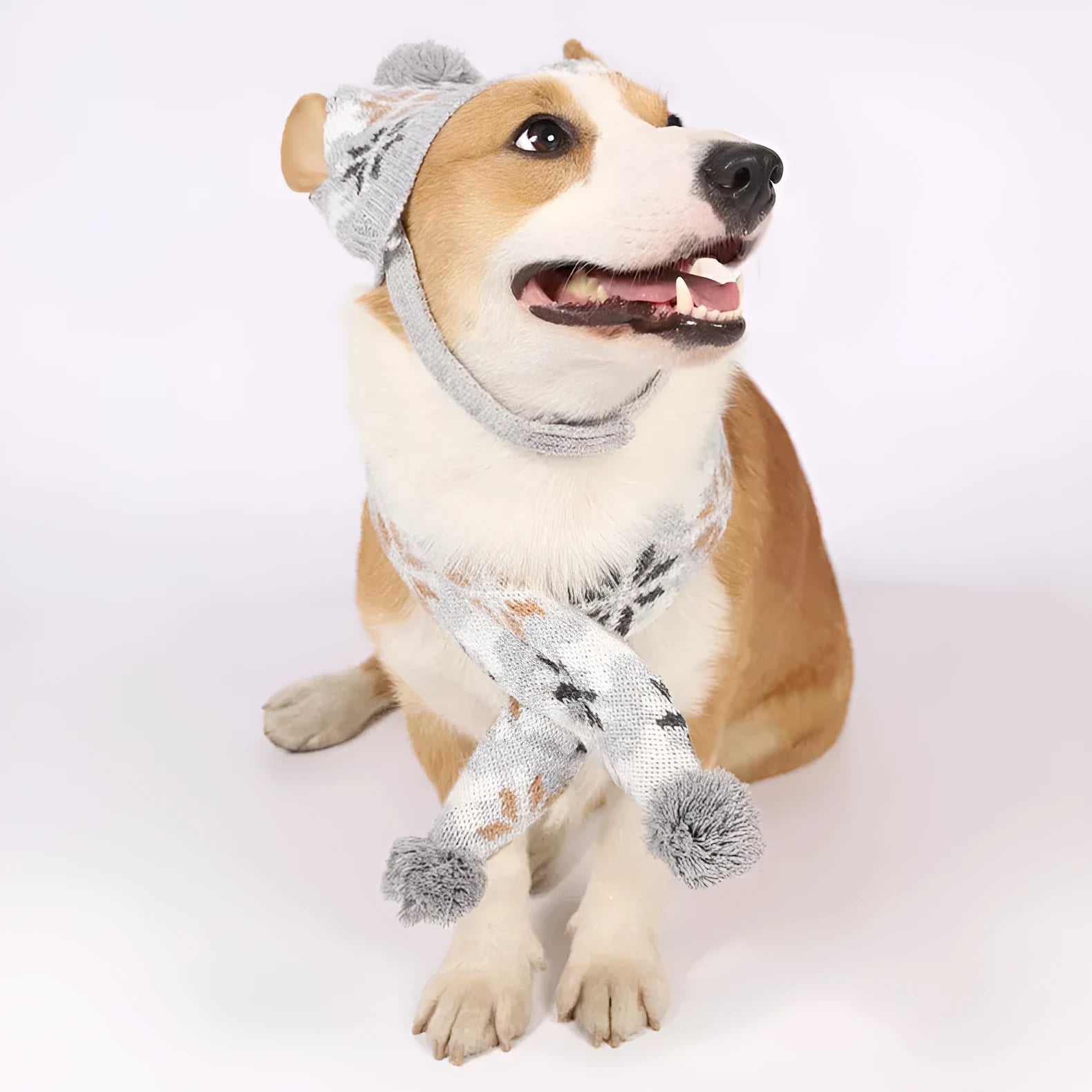 Grey retro jacquard pet sweater, hat, and scarf set on a small dog.