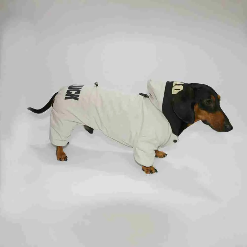 Thickened four-legged pet clothing in beige on a small dog, winter outdoor use