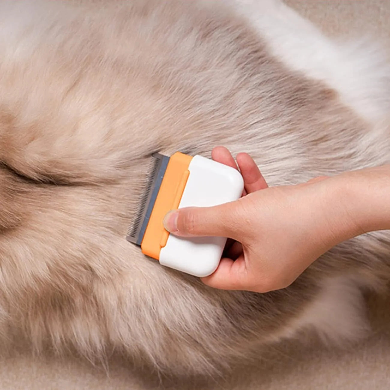Blue dual-sided pet grooming comb showing massage and deshedding sides for cats dogs rabbits