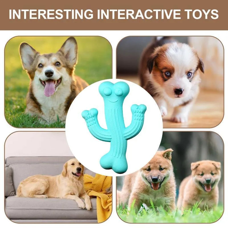 Cactus-shaped dog chew toy in bamboo fibre and rubber, shown in beige, blue, and purple colours.