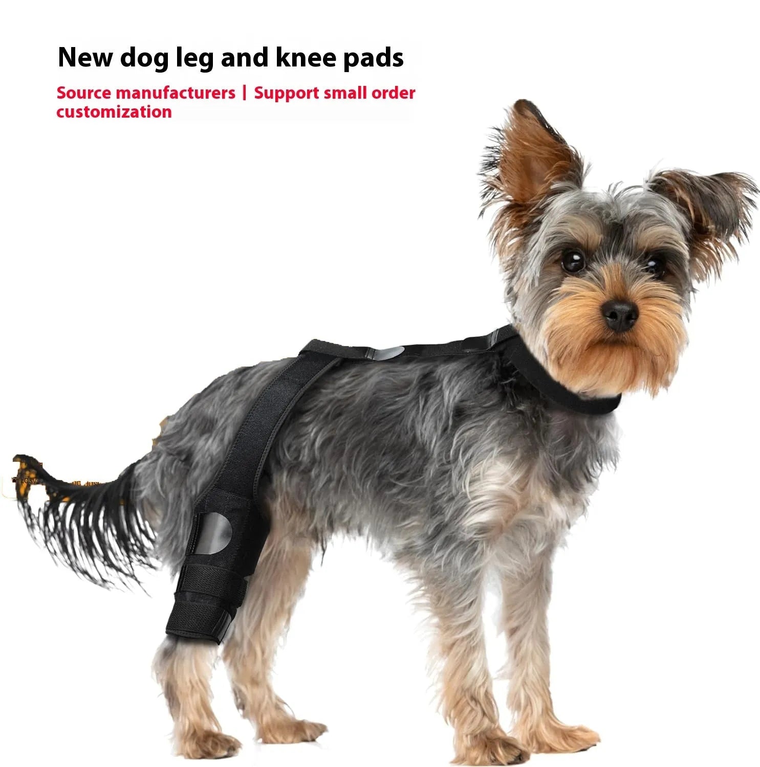 Neoprene dog hind leg knee brace assist strap in various colours and sizes