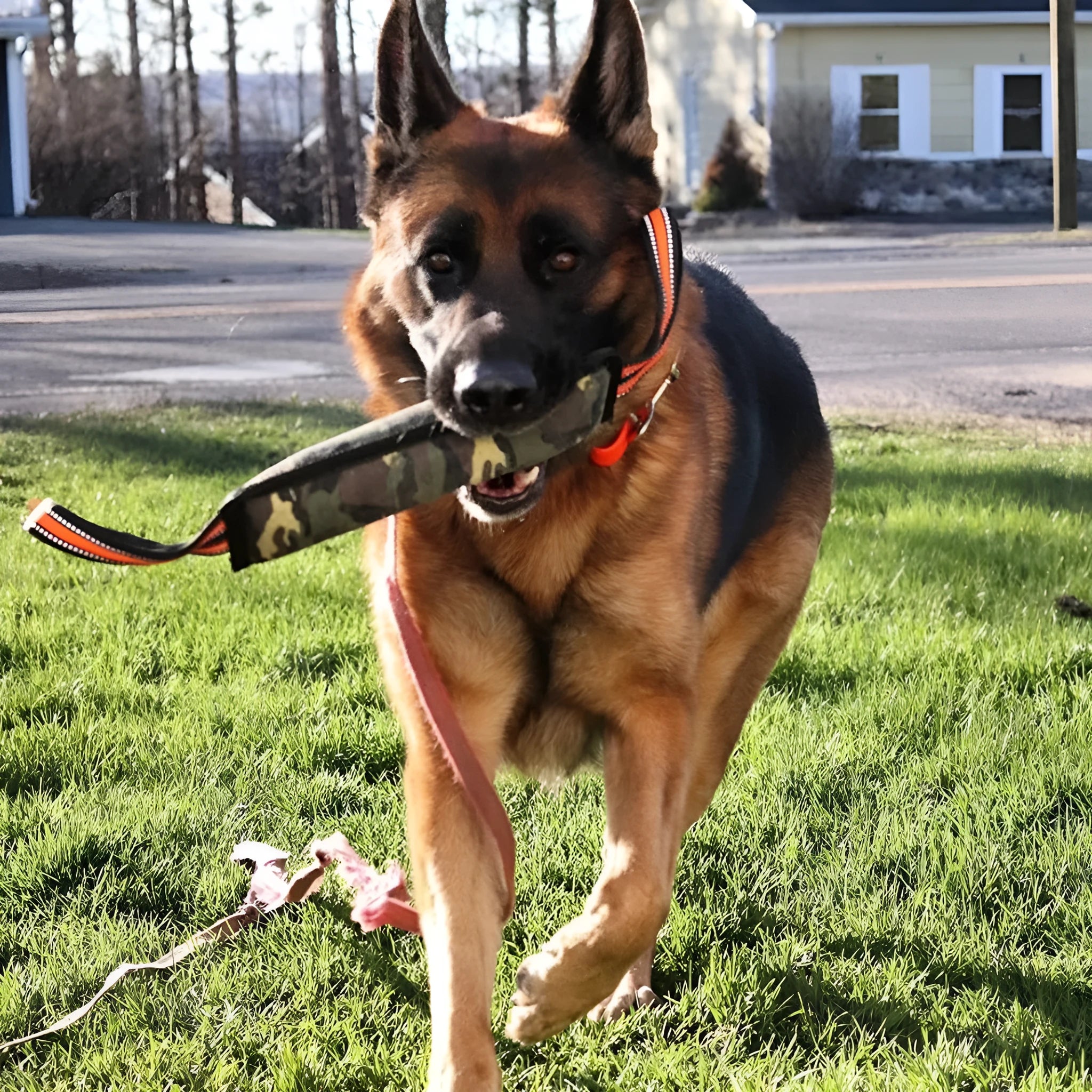 Reflective jute dog bite stick with yellow edge trim measuring 55 cm for training and play