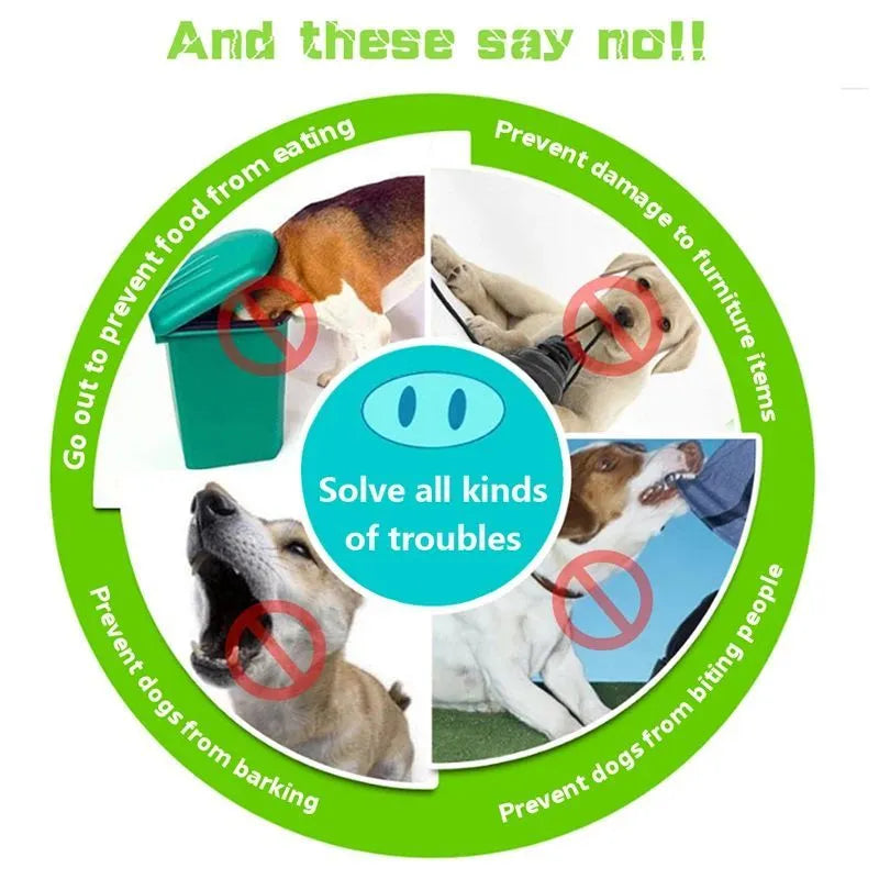 Blue and green silicone anti-bite mouth covers for dogs and pet pigs in two sizes
